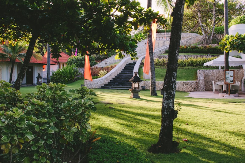 Transforma la Gestión de Casos con LEX App: Eficiencia y Organización en Despachos Jurídicos Modernos